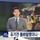 자유건강원