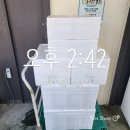구례흑염소 이미지