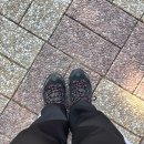 소희수산 | 11월 아 파트아파트 (ง 🕶 )ว 아 파트아파트 ٩( 🕶 )۶ 아 파트아파트 (ง🕶 )ว 아 파트아파트 ( 🕶 و(و