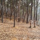 운암지 유아숲체험원 이미지
