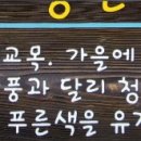 진흥원색