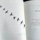 질경이수원 이미지