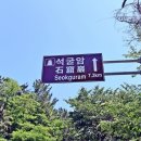 라라애견펜션 이미지