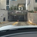 모모그루밍 이미지