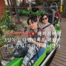죽림주유소 | [베트남 모자여행] 내돈내산 달랏 패키지여행_3일차① 다딴라폭포 루지 레일바이크 (일정 및 알파인...