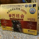 만병은같다백세건강 | 혈당관리 솔잎 증류 농축액 솔잎 기름 백세푸드 송침유