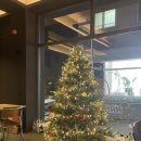 해피럭키 | [원주 단계동/봉화산택지] 원주 칵테일바 해피고럭키 후기｜분위기 좋은 곳에서 뇨끼랑 칵테일 한잔