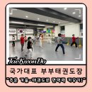 국가대표 부부 태권도 이미지