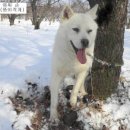 백순농장 이미지