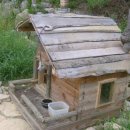 멍멍이집 이미지