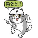 하이트 - 영광군 중앙로 170-6 | 테라 0.00 무알콜 맥주 무알맥 테라제로 하이트제로 비교 후기 가격 영양성분 원재료 정보까지
