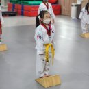 T-Master 연화태권도장 이미지