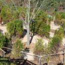 해남공원 이미지