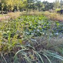 성호박물관 이미지