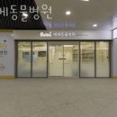 베베동물병원 | 강동구 천호동 동물병원 베베동물병원 진료시간 접근성 이용후기