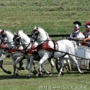 현대치과의원 네이버블로그