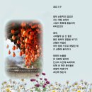 2024.11.16(토)~17(일) 출석글 이미지