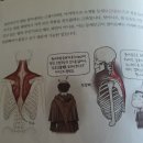 통증지압케어센터 이미지