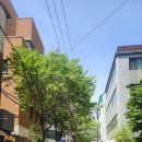 성수북카페 LP청음카페 어바웃더챕터 About the chapter 방문 후기
