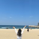 동안 | 다이어트 유산균 3개월동안 10kg 감량 후기