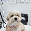 새선영미용실
