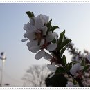 소요산일주문약수터 이미지