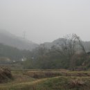 황산사과농원