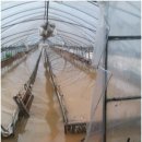 최용환농장 이미지