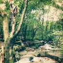 불곡산장 이미지