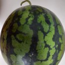 아동1통 이미지