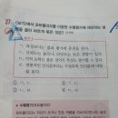 포트폴리오평가,수행평가/p.197 이미지