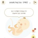 뽀끔