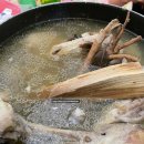 67 | [인천/계양] 30년 넘은 아재 감성 찐 로컬 맛집 '숲속의 연못' 오리고기 정복 후기