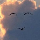 수서역육전면사무소