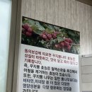 여수)돌산)찐맛집)청솔국밥 리얼후기