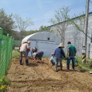 수서농장 이미지