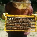 범수농장 이미지