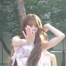 신위 카카오 검색결과