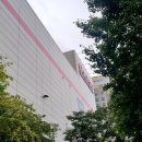 코스트코 상봉점 | 코스트코 상봉점 방문해서 득템한 후기