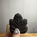 지에스25테크노센터 이미지