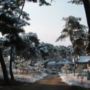 고추골솔바람마을 이미지