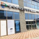 용인흥덕카페 요거프레소 메리딸기 취향저격 ♡
