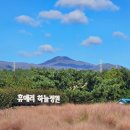 토산1리농촌체험휴양마을 | 제주 동쪽 여행 휴애리 자연생활공원 ~ 토산리초코렛 ~ 오늘은 녹차한잔 녹차족욕