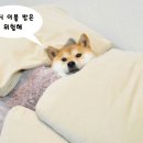 없음 이미지