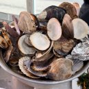 대전삼성성결교회 | 2말3초😆