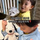 코코 스타디움 이미지