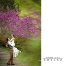 바닷가 사진관 이미지