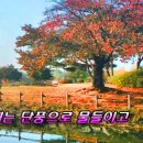 달빛섬 이미지