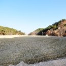 양덕동380 이미지