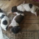 달은농장 이미지